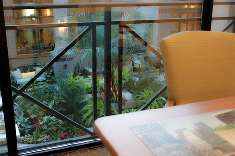 View of an indoor garden through a window