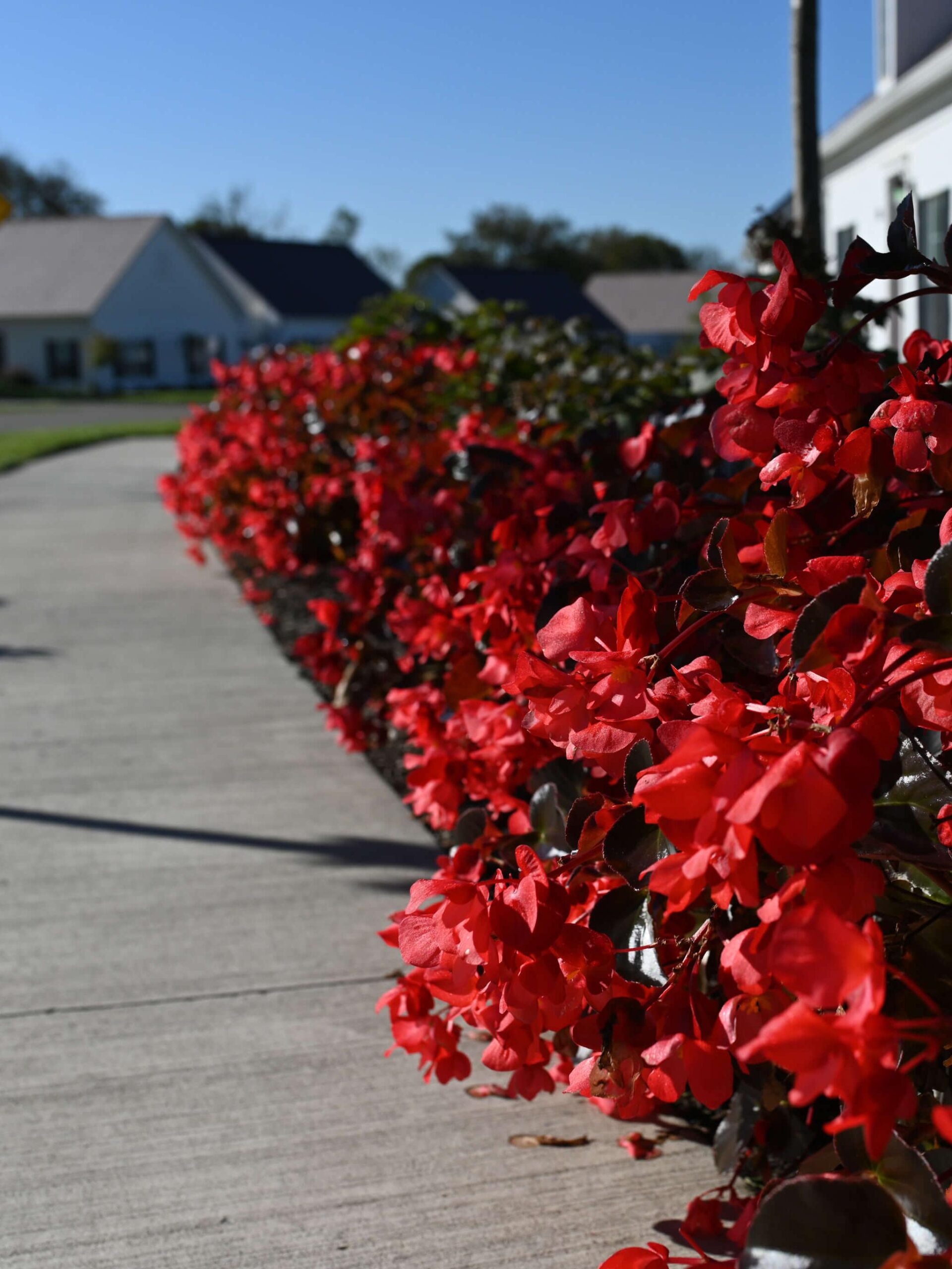 Ashton Grove Senior Living