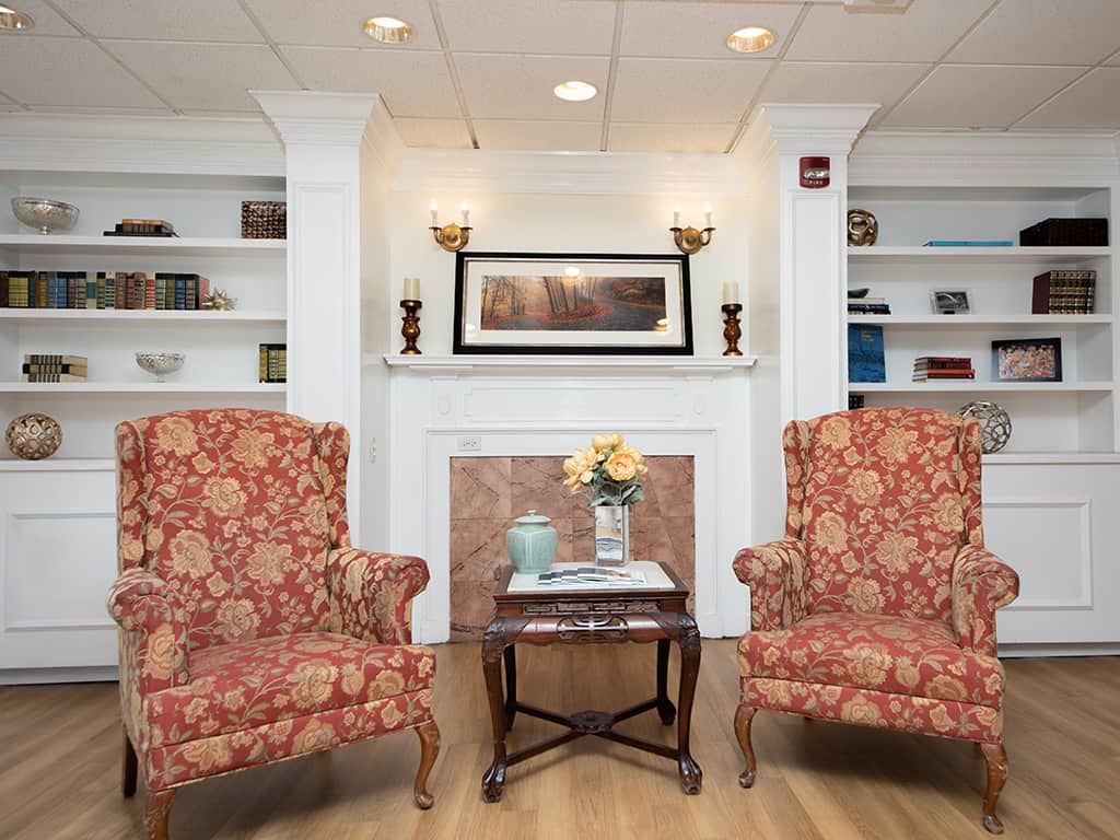 Cozy common area with two armchairs and bookshelves