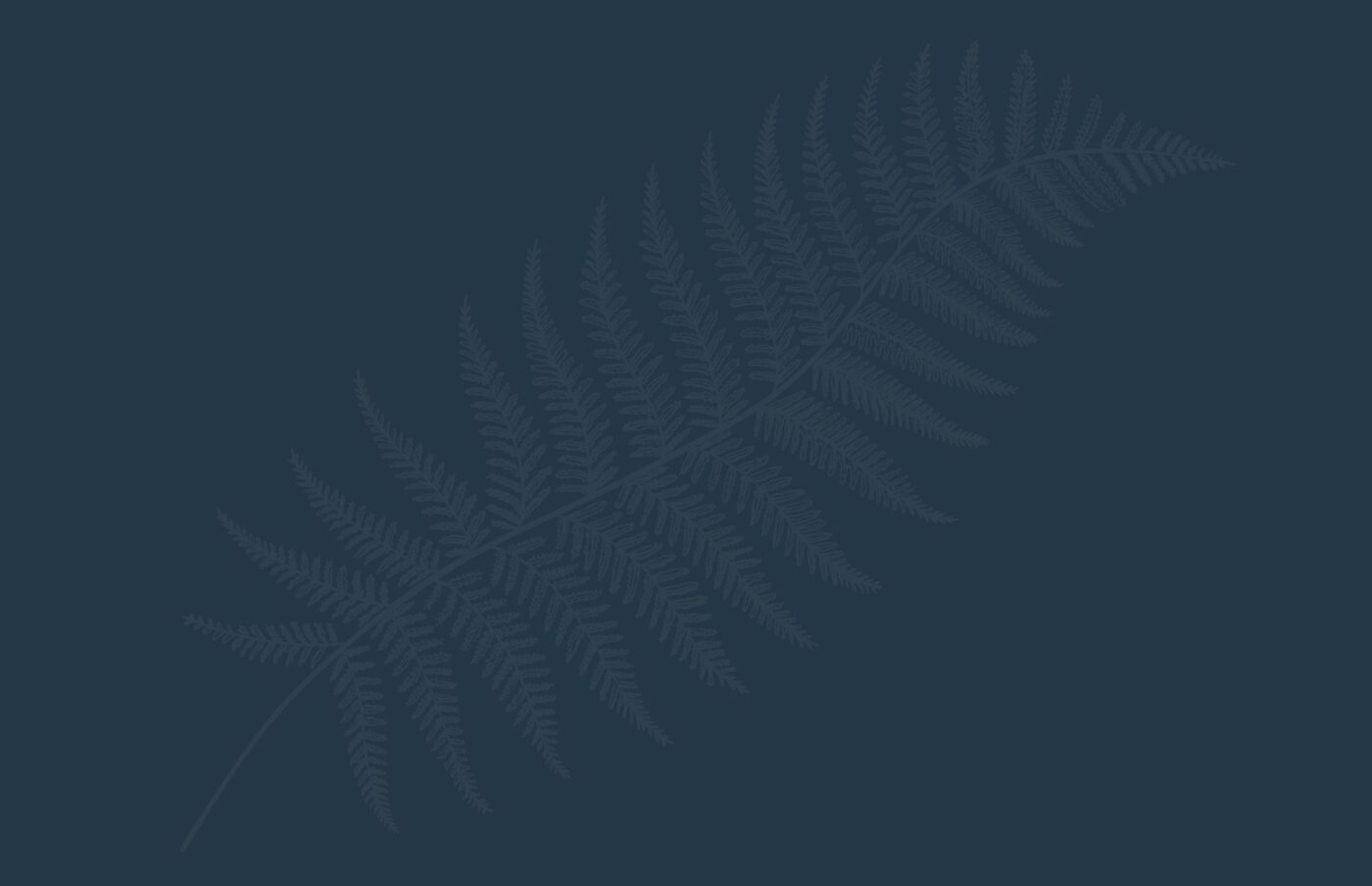 Abstract fern pattern on a dark background