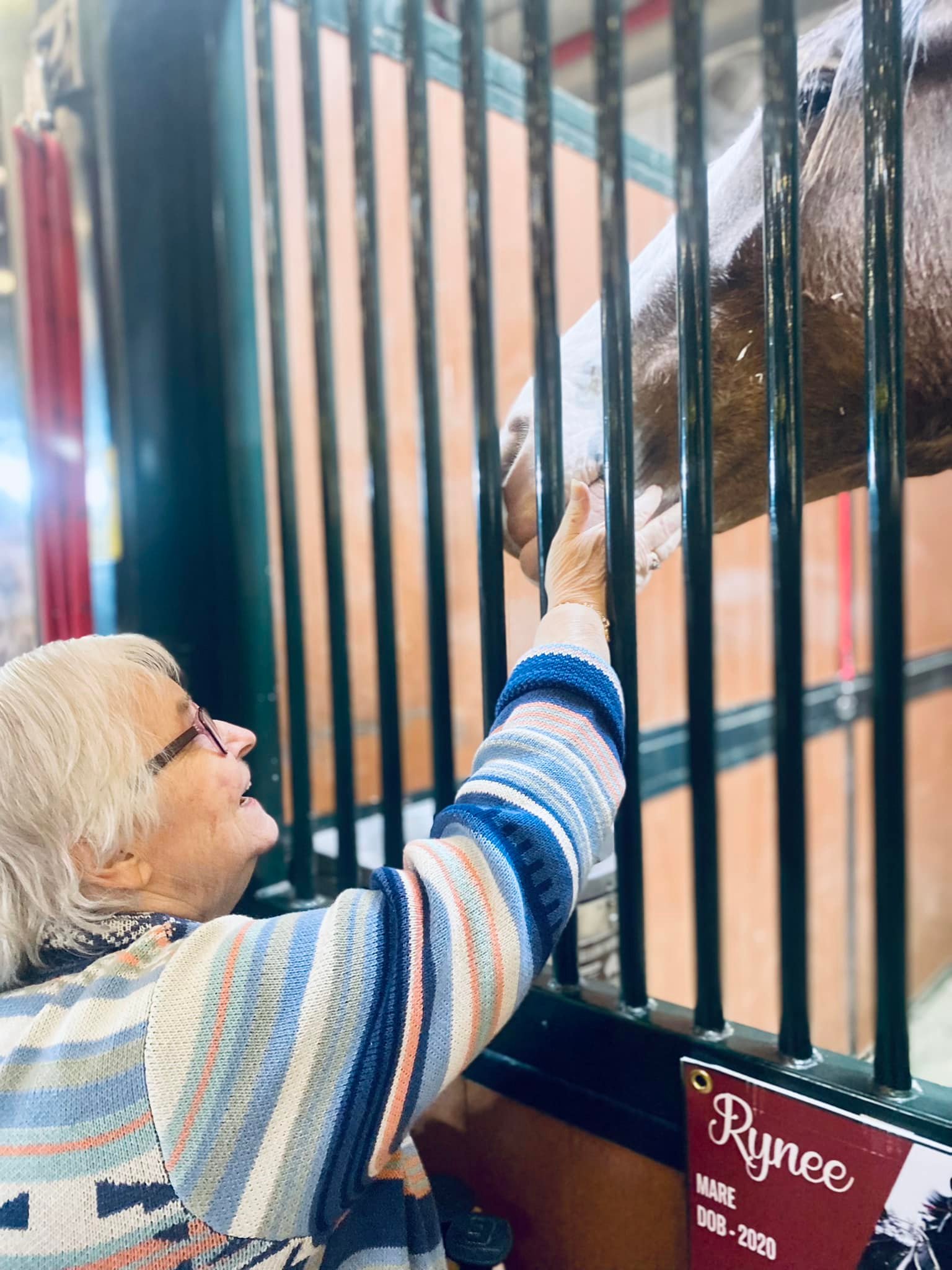 Senior resident interacting with a horse at a facility event