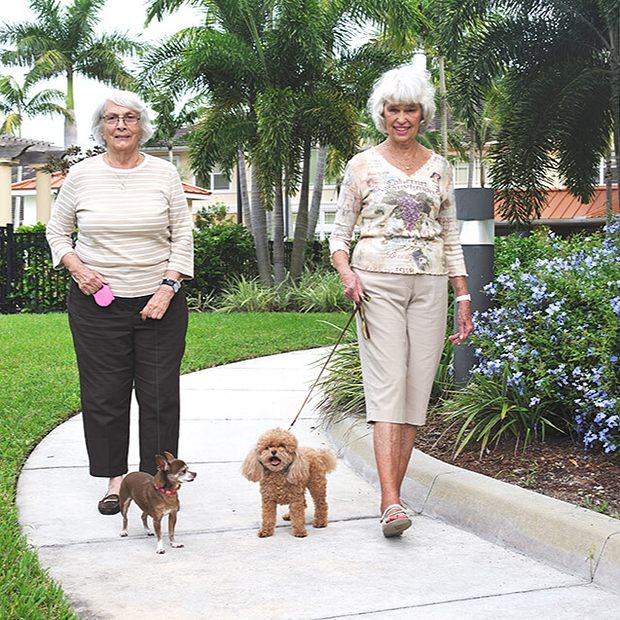 Residents walking dogs along a garden path