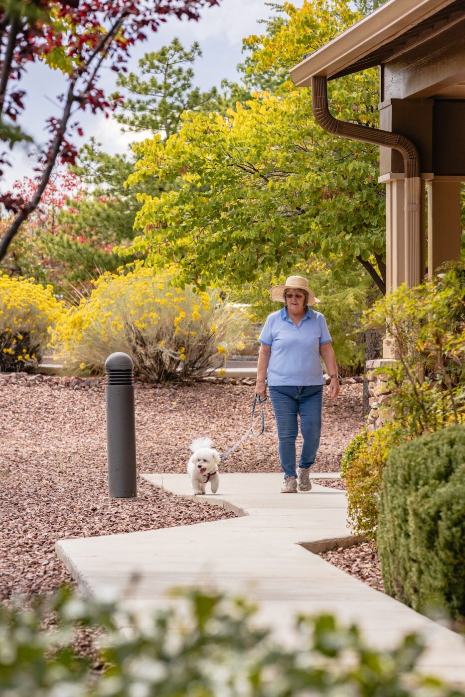 A resident walking a dog on a garden path