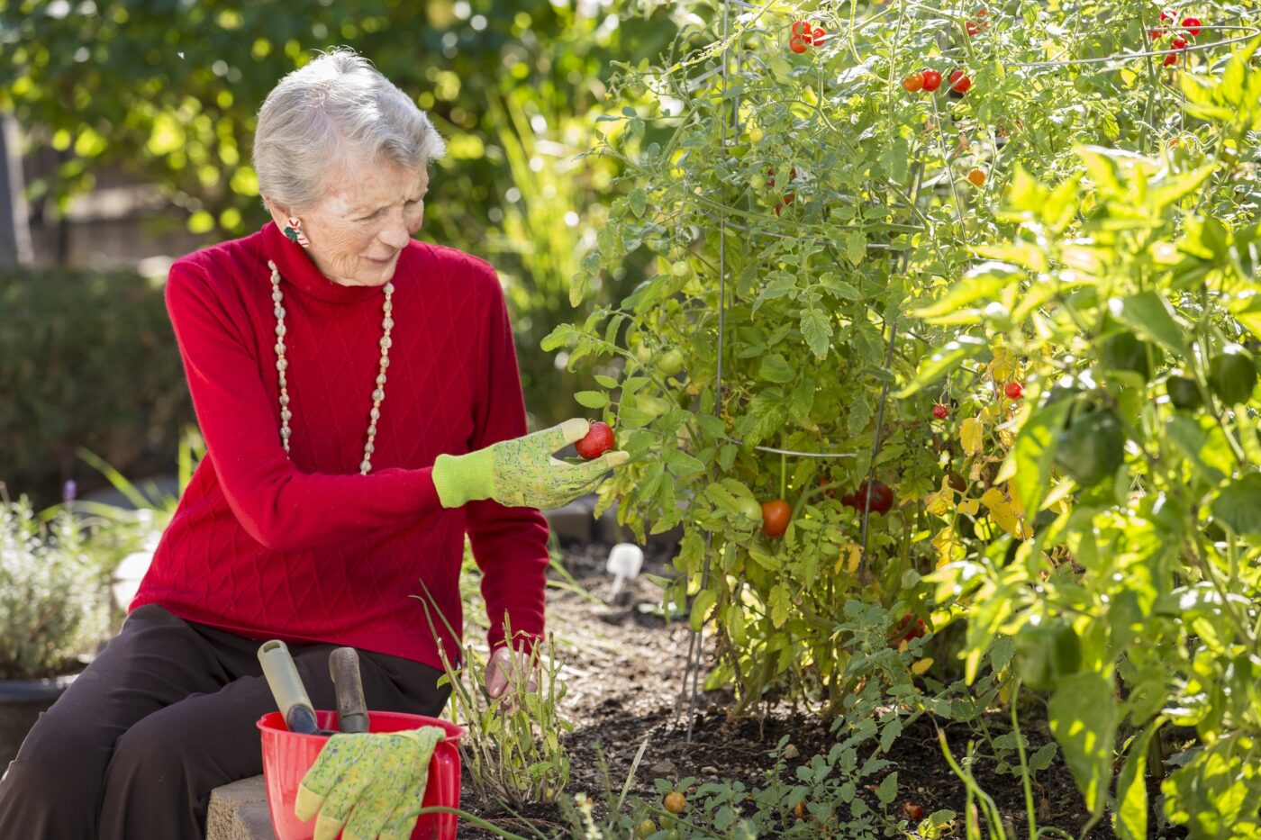 Elderly woman gardening in a vibrant outdoor space