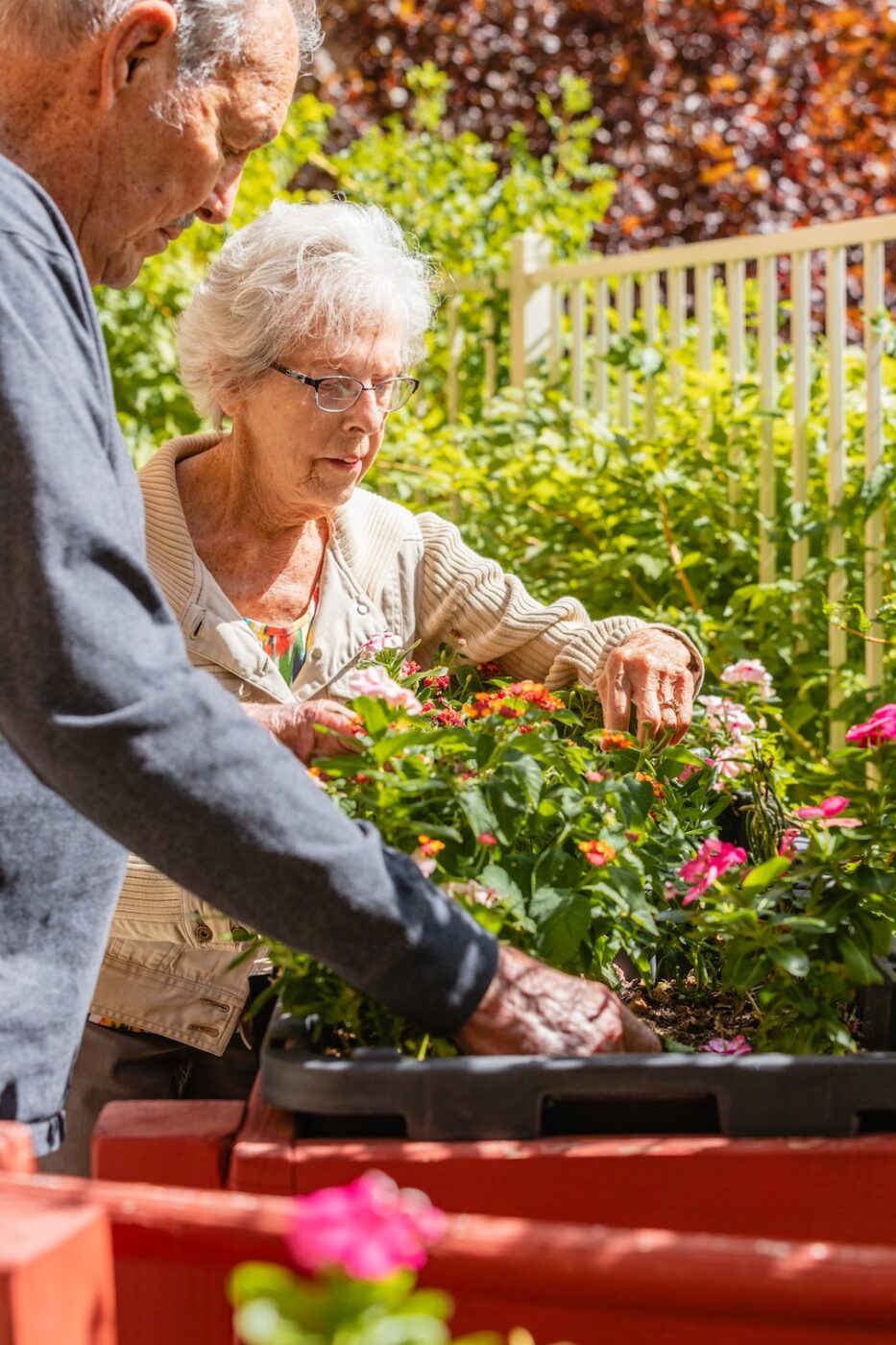 Residents tending to flowers in a garden