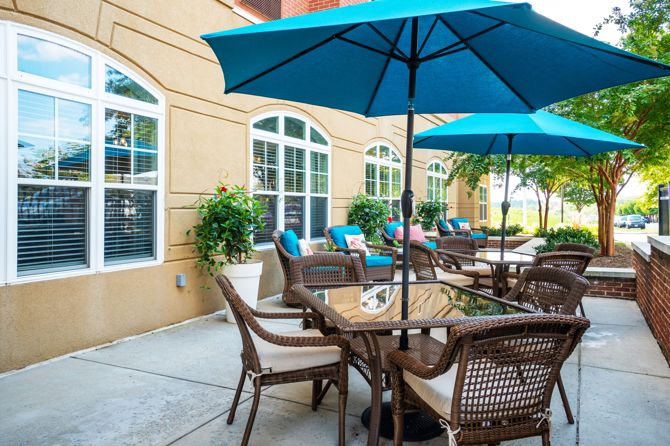 Outdoor seating area with umbrellas and greenery