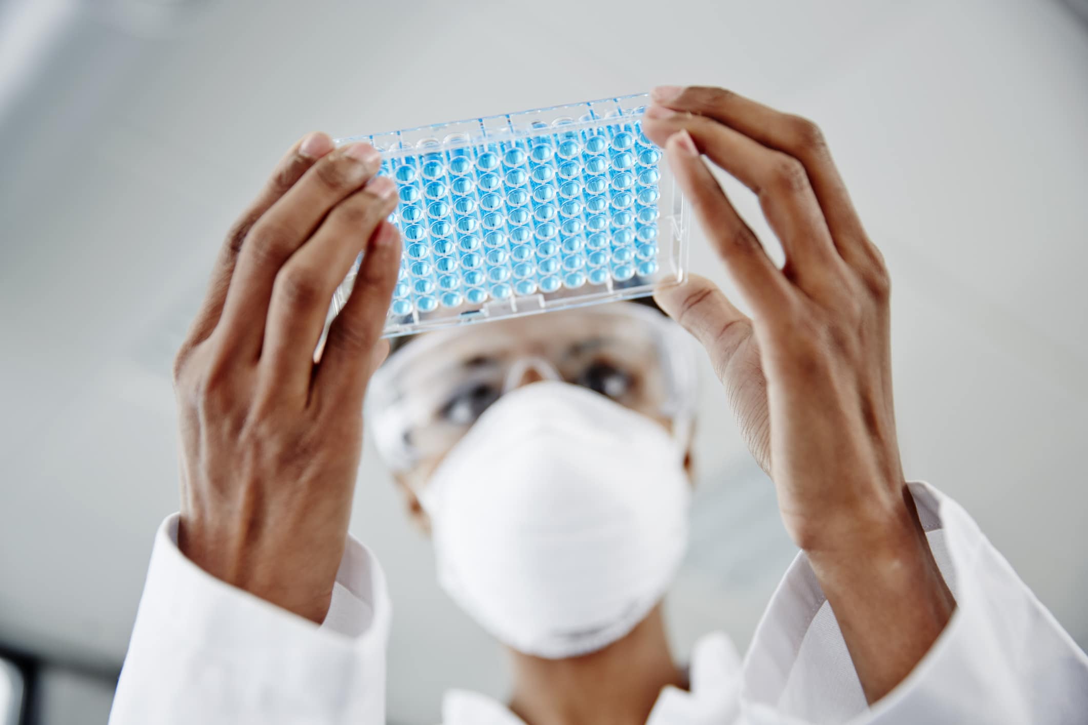 Laboratory technician holding a clear plate with blue samples