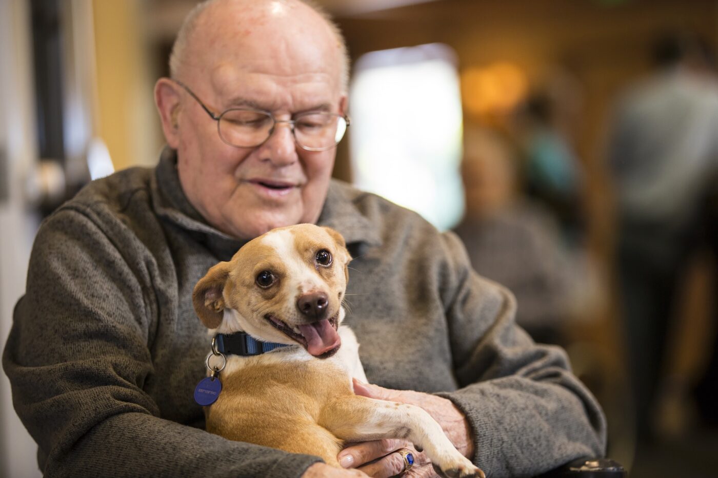 An elderly man holding a happy dog in a cozy common area