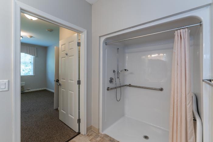 Accessible bathroom with grab bars and shower