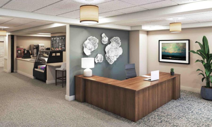 Bright reception area with modern decor and seating