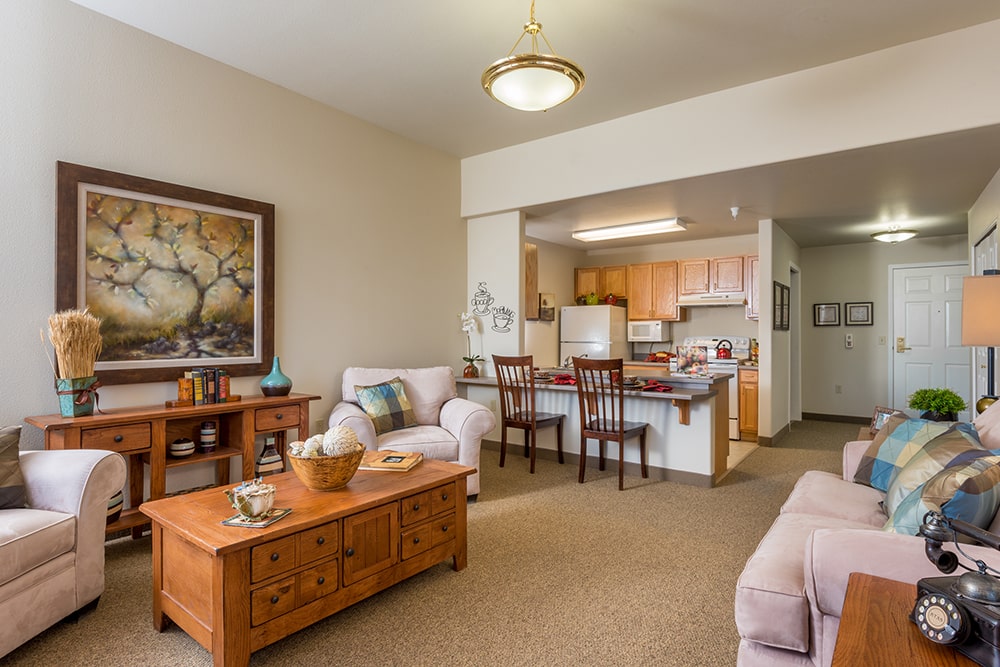 Bright, welcoming interior of a living space
