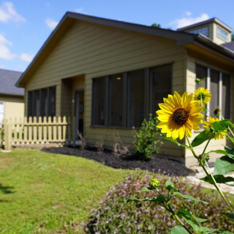 Exterior view of a facility with sunflowers