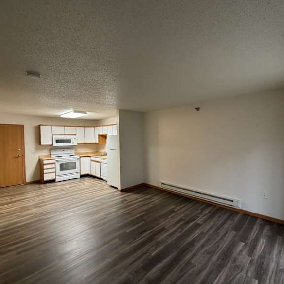 Interior view of a kitchen and living space.
