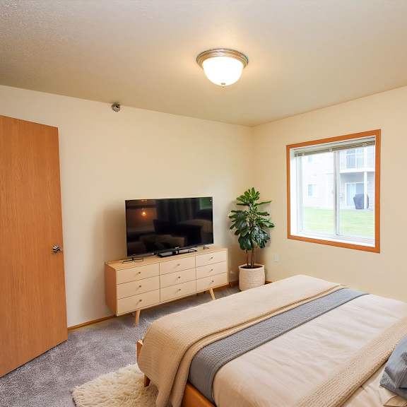 Cozy bedroom with a television and plant