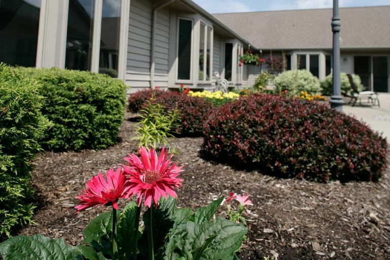 Colorful flowers in the facility's garden area.