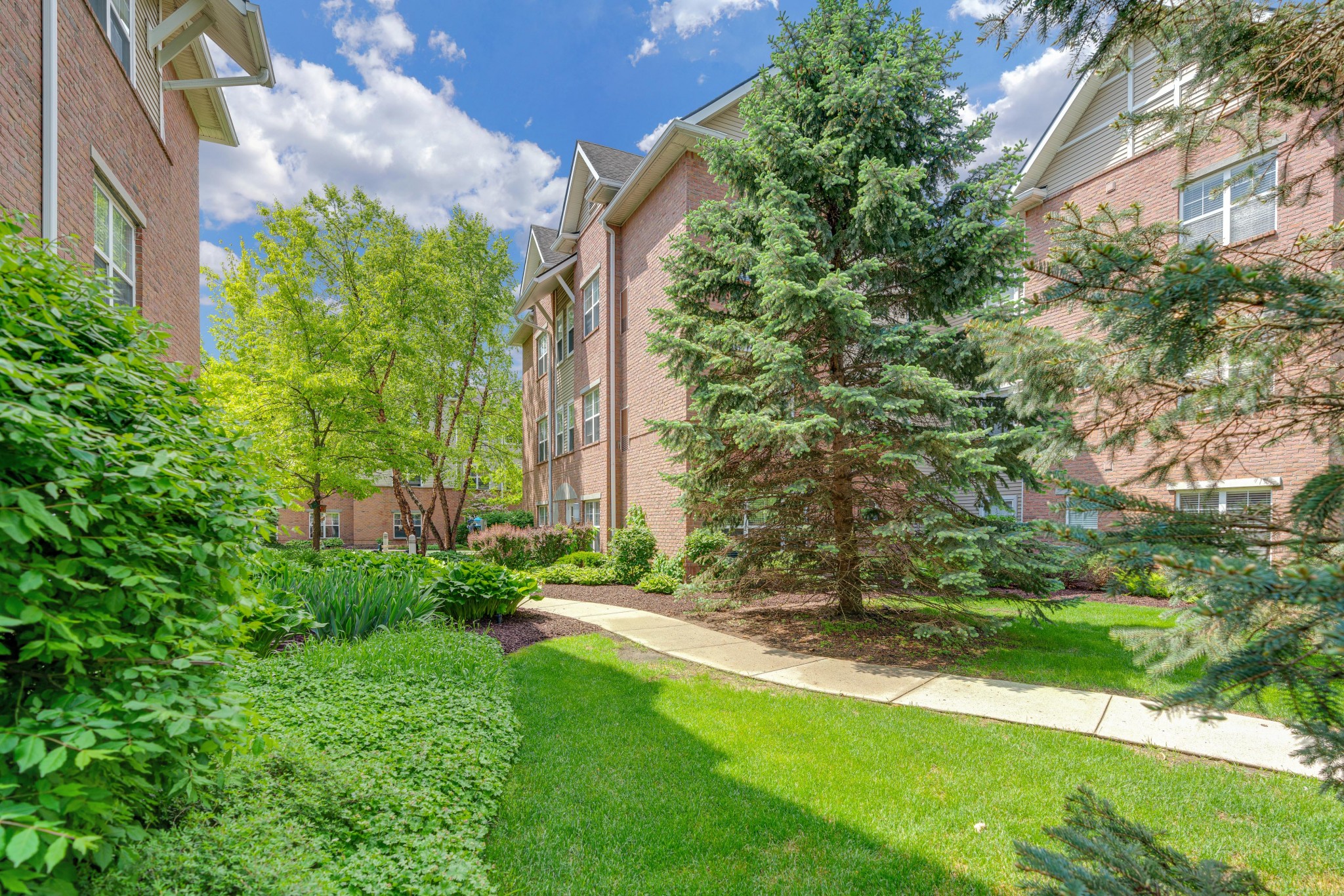 Lush landscaped garden area with walking path