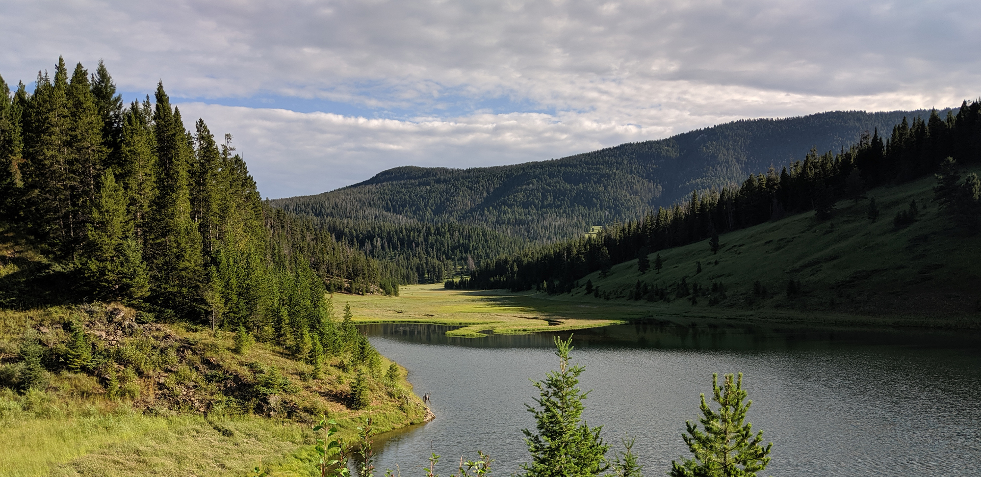 Serene landscape view of a river surrounded by trees