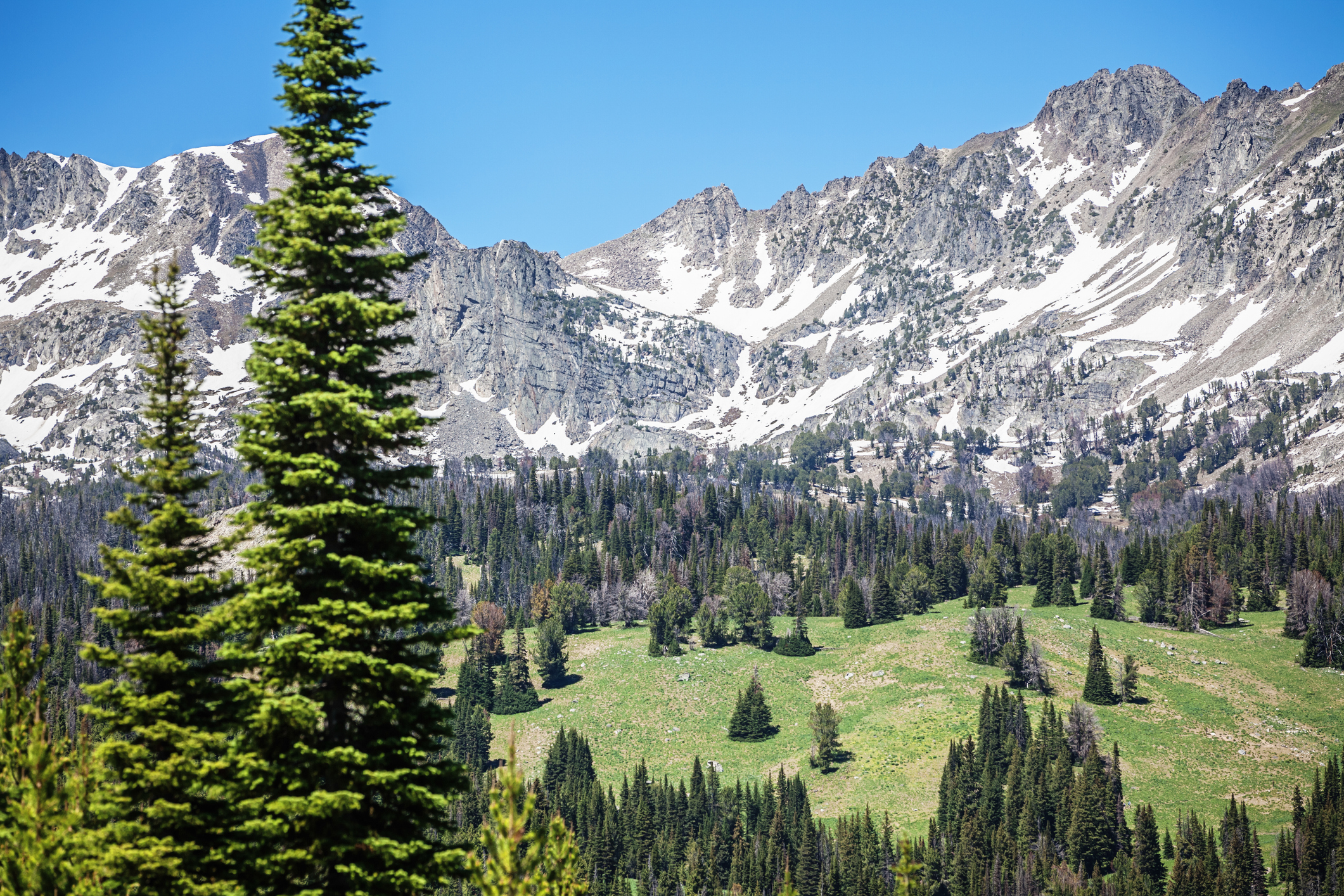 Scenic mountain landscape with trees and snow-capped peaks