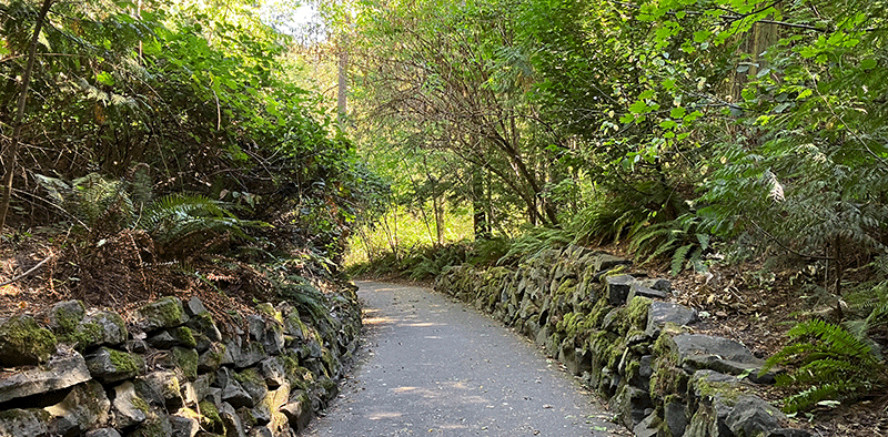 Pathway through a lush garden area