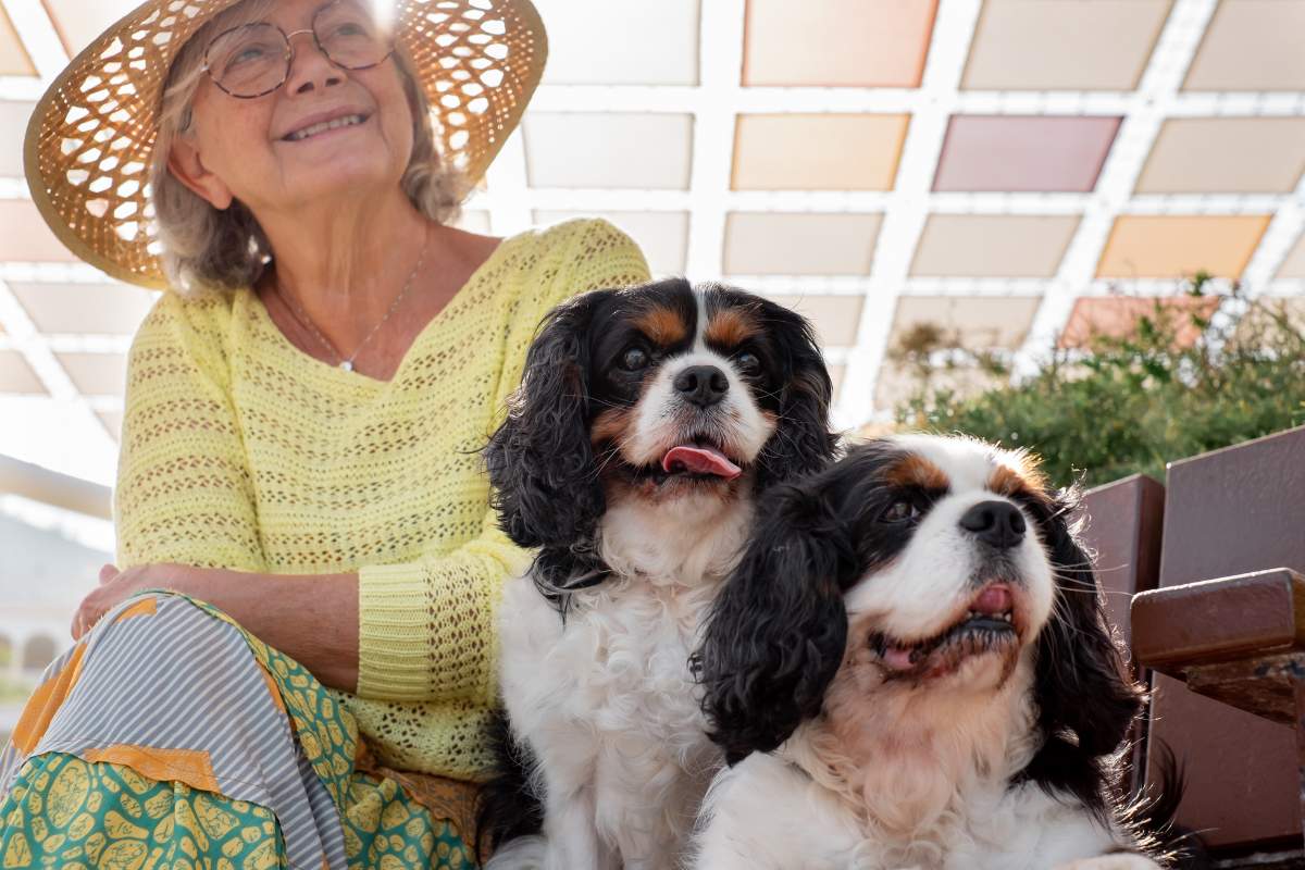 Resident with two dogs in a sunny setting