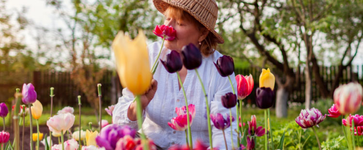 Woman enjoying flowers in a vibrant garden