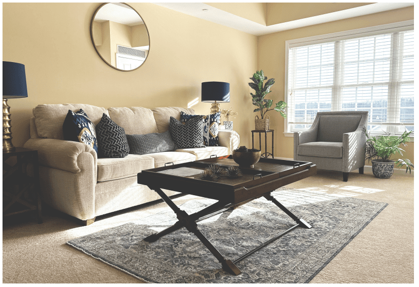 Cozy common area with a sofa and plants