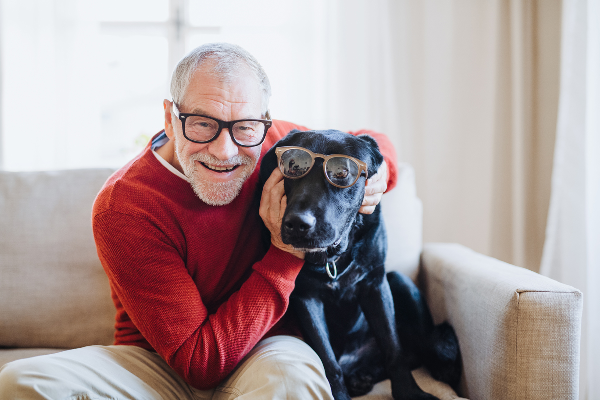 Senior man with a dog, both smiling together