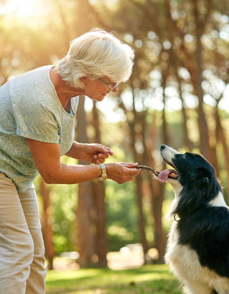 Senior woman interacting with a dog outdoors