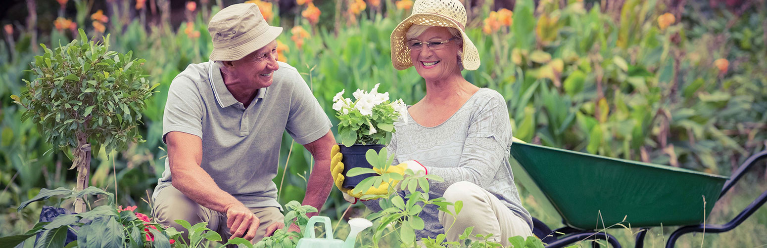 Two seniors gardening in a vibrant outdoor space.