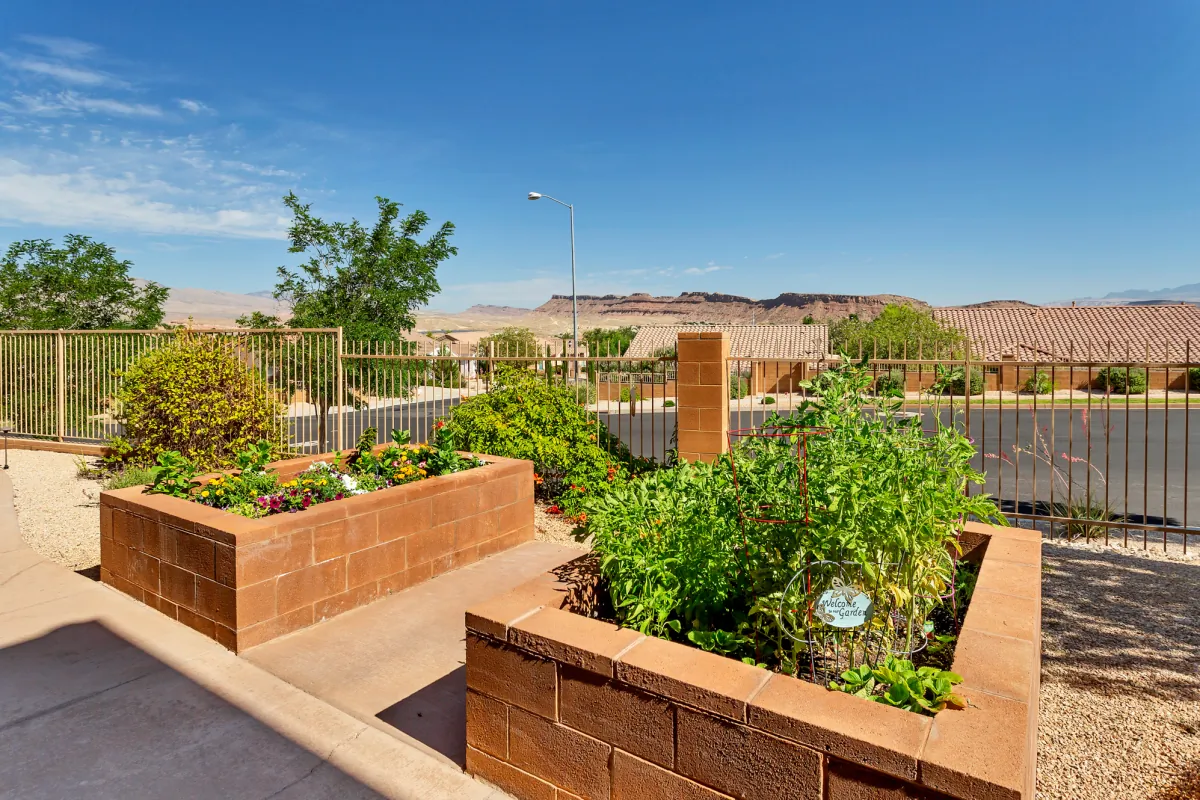 Outdoor garden area with lush plants and a fence