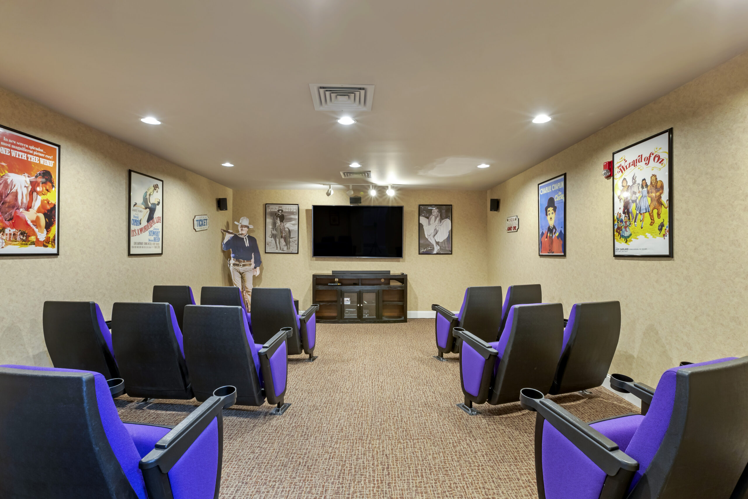 Activity room with movie seating and posters