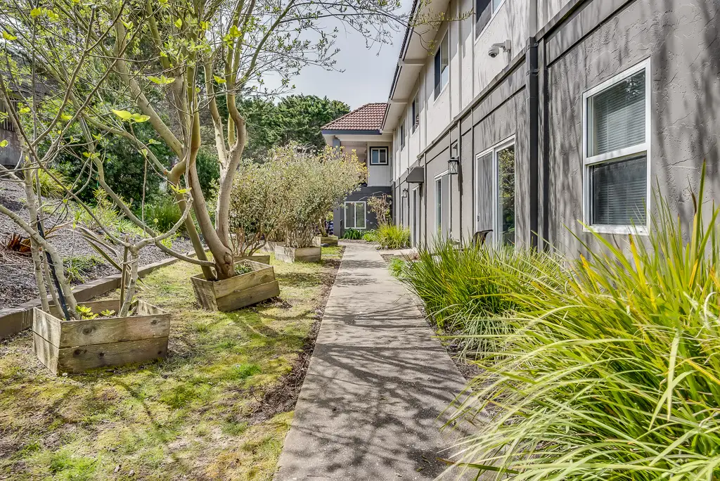 Pathway through landscaped outdoor space at the facility