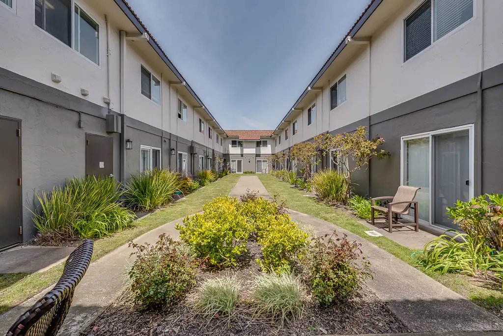 View of a landscaped courtyard between buildings
