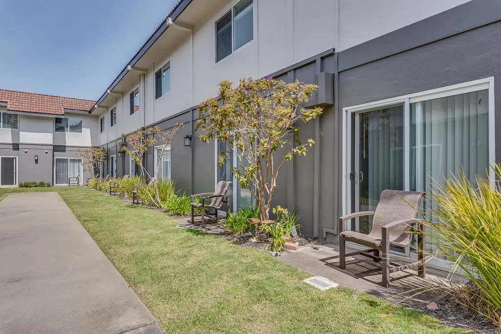 Outdoor seating area with chairs and plants