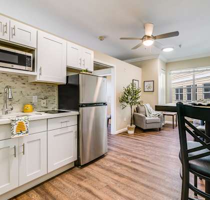 Interior view of a cozy apartment kitchen and living area