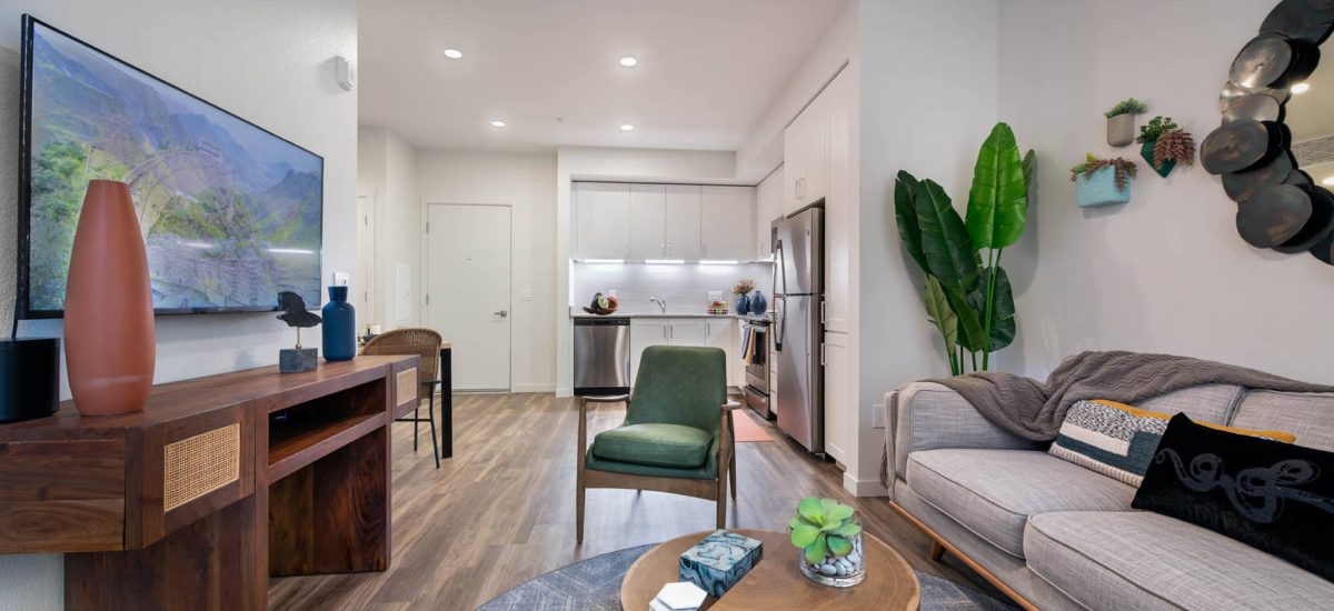 Modern living room with kitchen view