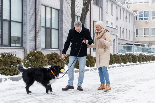 Two people walking a dog in a snowy area