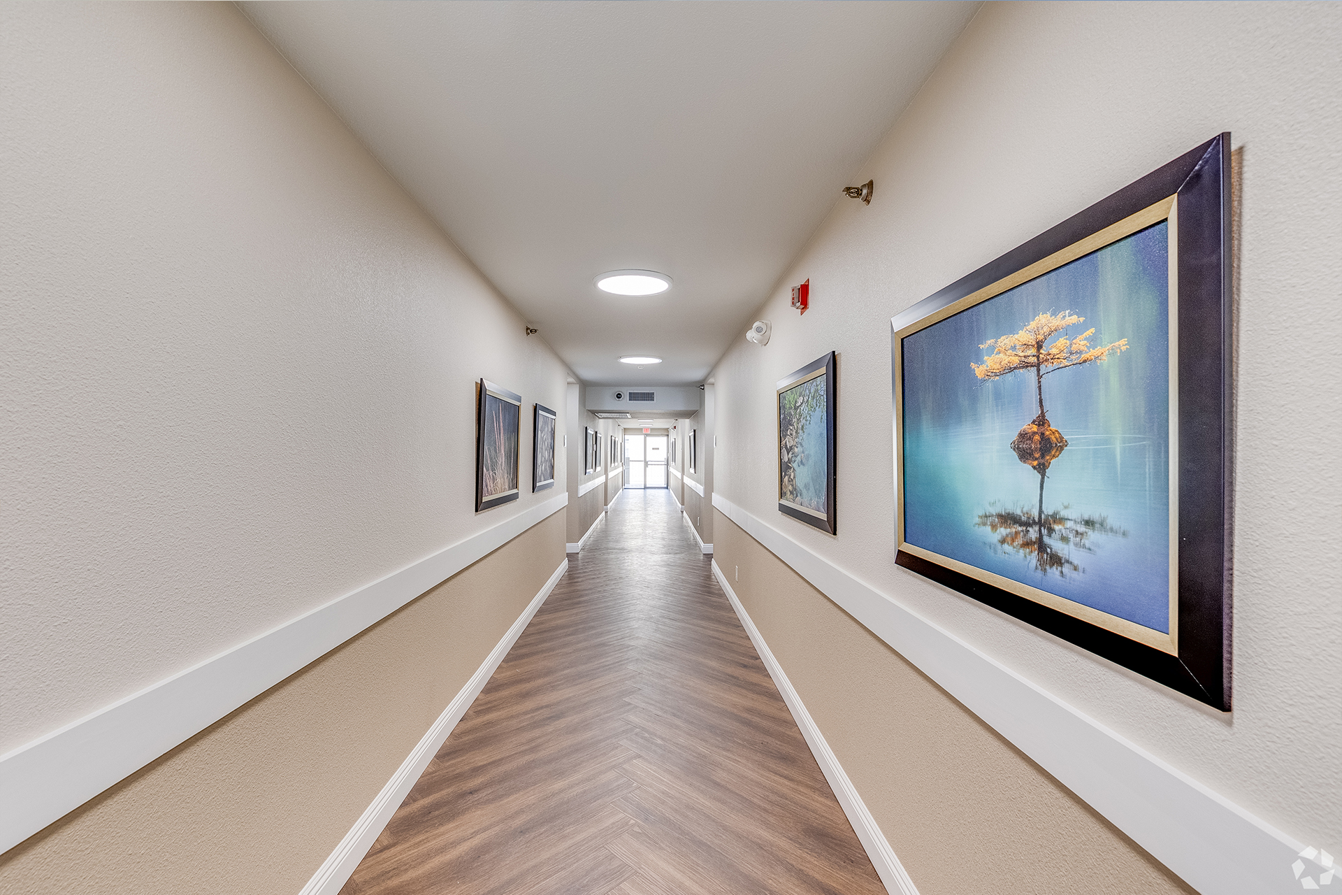 Bright hallway with artwork and natural lighting