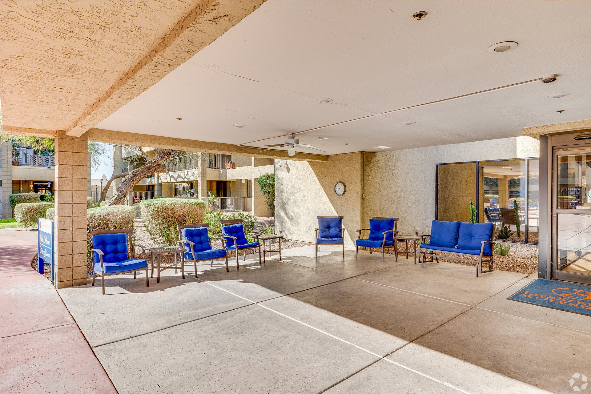 Outdoor seating area with blue chairs and plants