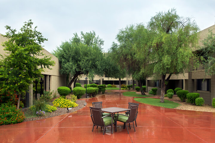 Scenic courtyard with tables and greenery