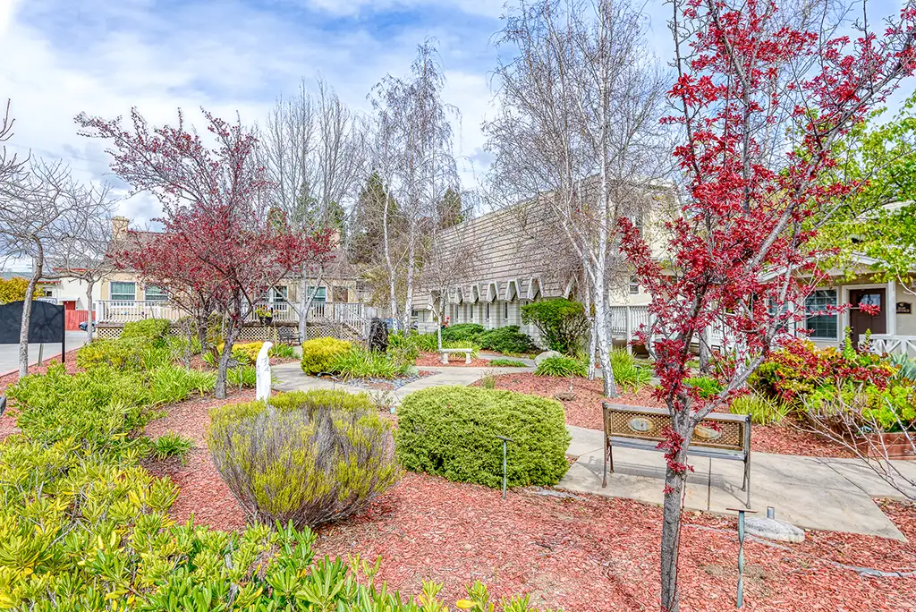 Beautiful garden area with benches and colorful trees