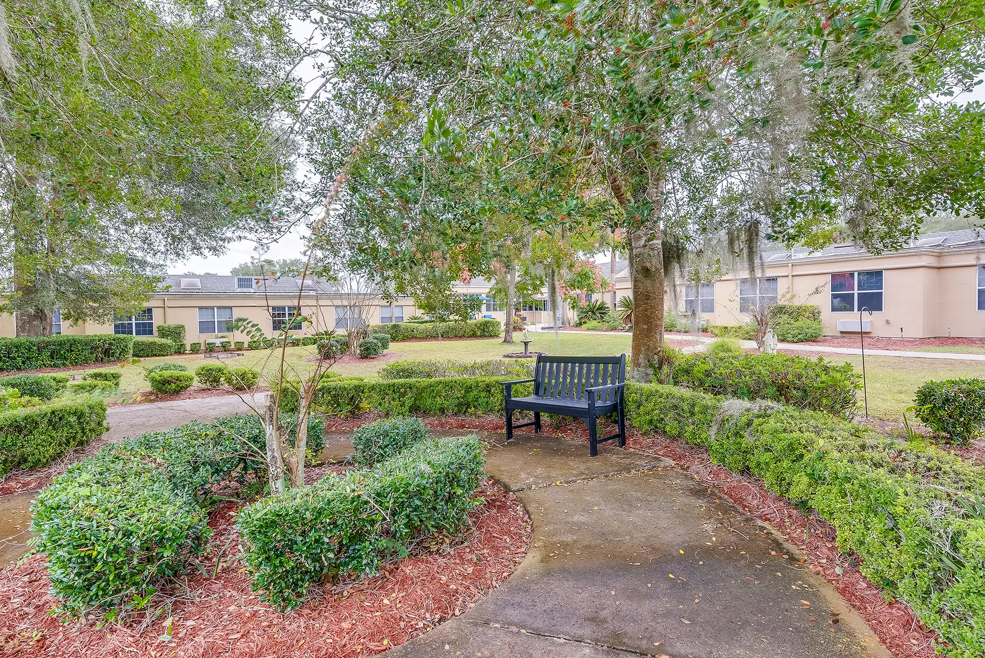 A landscaped outdoor area with a bench