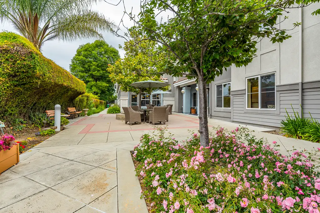 Outdoor seating area with flowers and trees