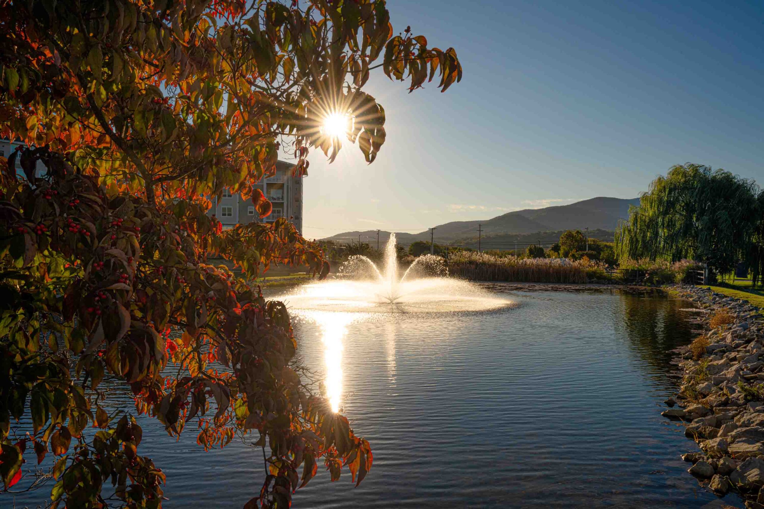 Beautiful outdoor space with a fountain and sunset