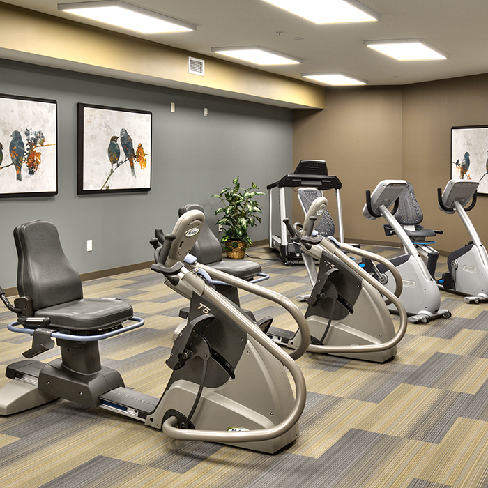 Well-equipped exercise area with fitness machines