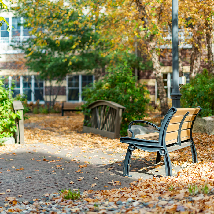 Quiet outdoor seating area with fallen leaves
