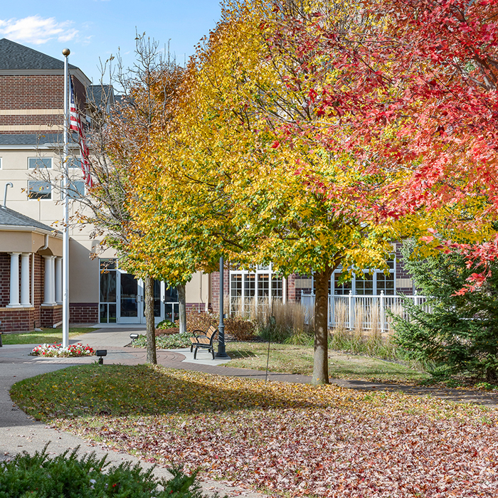 Colorful trees in the outdoor space of the facility