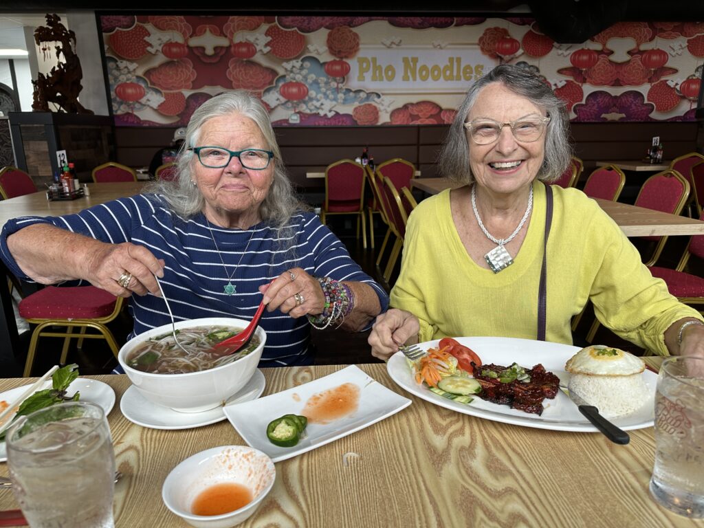 Two senior women enjoying a meal at a dining table