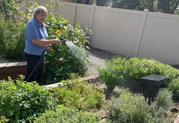 Resident watering plants in a vibrant garden