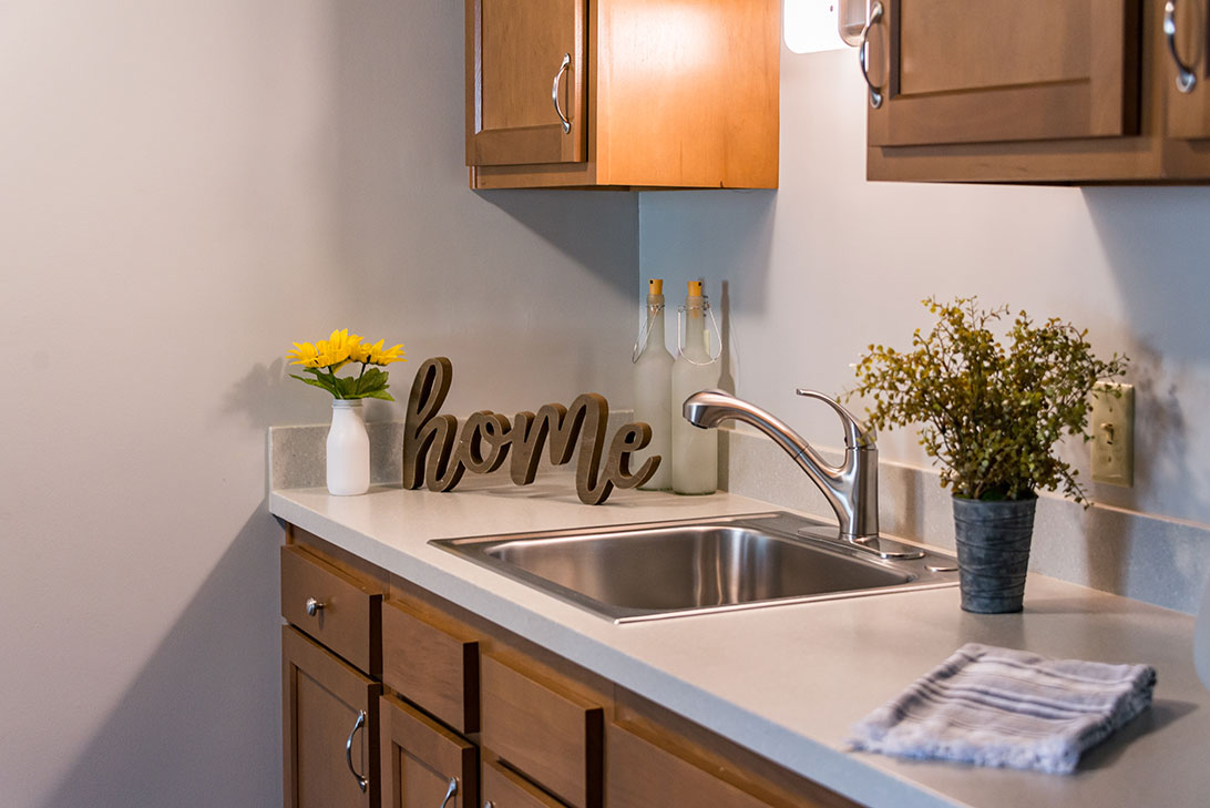 Modern kitchen with countertop and decorative items